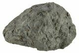 Chelyabinsk Meteorite ( g) - Witnessed Fall #263521-1